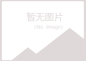 兰山区醉薇化学有限公司